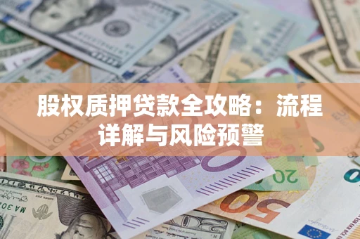 武汉股权质押贷款全攻略：流程详解与风险预警