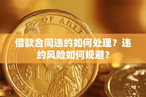 武汉借款合同违约如何处理？违约风险如何规避？