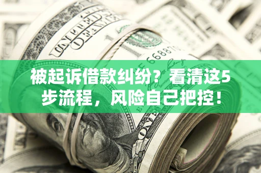 武汉被起诉借款纠纷？看清这5步流程，风险自己把控！