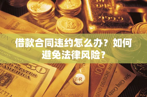 武汉借款合同违约怎么办？如何避免法律风险？
