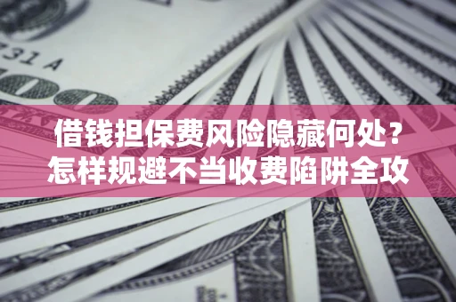 武汉借钱担保费风险隐藏何处？怎样规避不当收费陷阱全攻略！